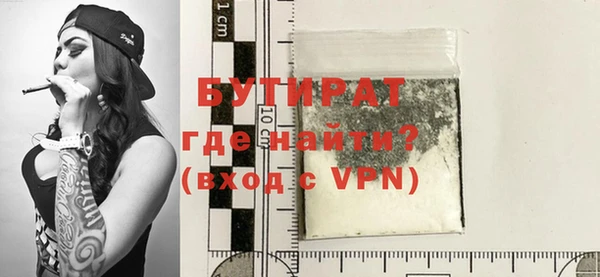 индика Дмитриев