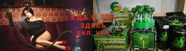 индика Дмитриев