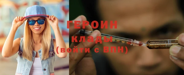 индика Дмитриев