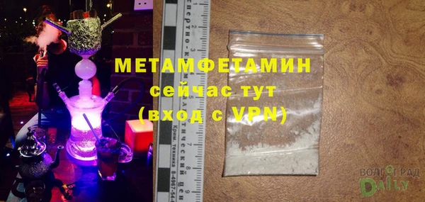 индика Дмитриев