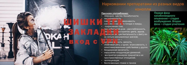 индика Дмитриев