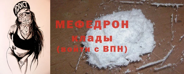 индика Дмитриев