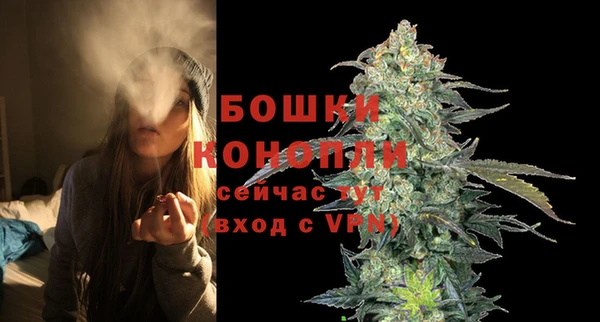 индика Дмитриев