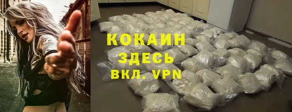 индика Дмитриев